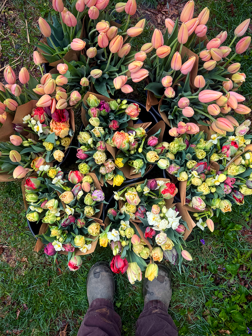 Bouquet Subscriptions