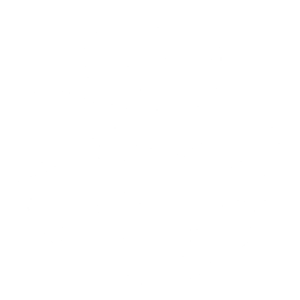 Sun Seeker Farm & Flowers